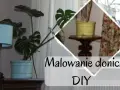 Jaką farbę pomalować doniczki, aby uzyskać piękne efekty?