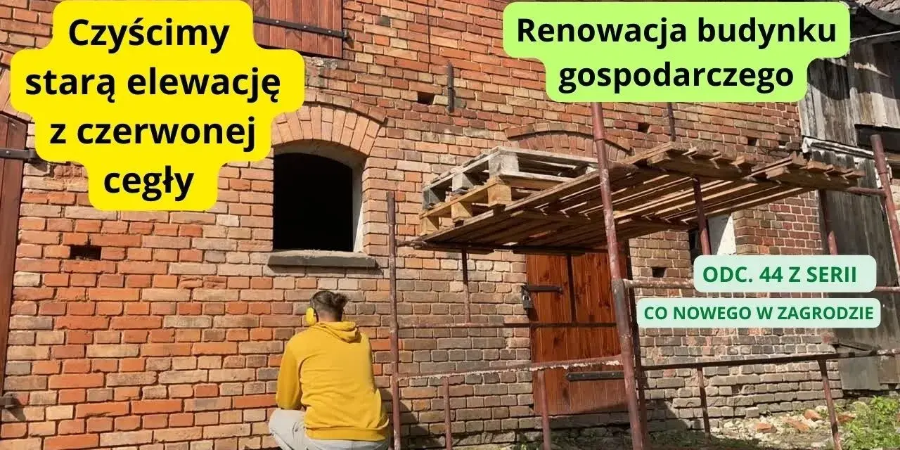 Jak odnowić starą cegłę na zewnątrz i przywrócić jej blask bez ryzyka