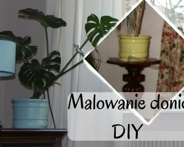 Jaką farbę pomalować doniczki, aby uzyskać piękne efekty?
