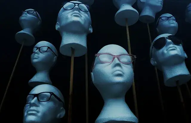 Zdjęcie Dlaczego kury jedzą styropian i jak temu zapobiec?