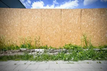 Płyta OSB na zewnątrz, otoczona dziką zielenią i fragmentami gruzu, tworzy tymczasowe ogrodzenie.